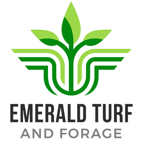 Emerald Turf & Forage produces and provides improved turf, forage and cover crop seeds to the wholesale market